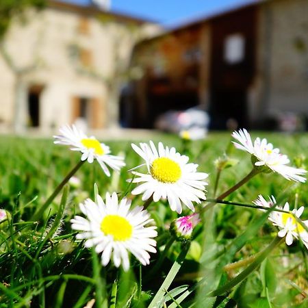La Ferme Des Denis Chambres Dhotes Chanos-Curson Bagian luar foto