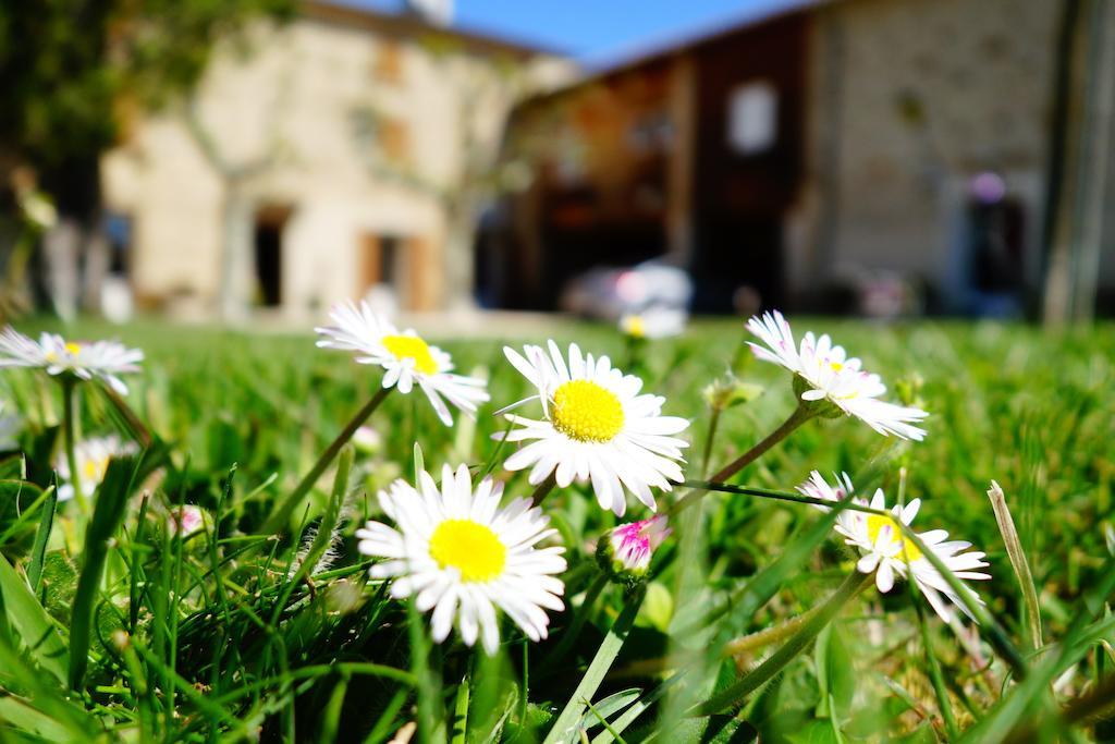La Ferme Des Denis Chambres Dhotes Chanos-Curson Bagian luar foto